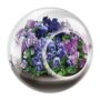Tiny Terrarium – Vivacious Violet